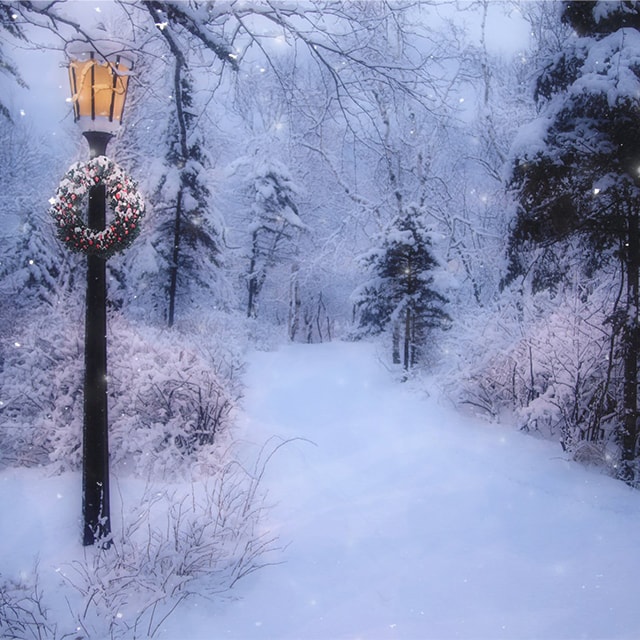 winter